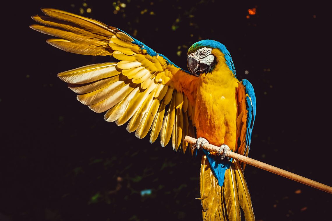 RAG on GCP: production-ready GenAI on Google Cloud Platform